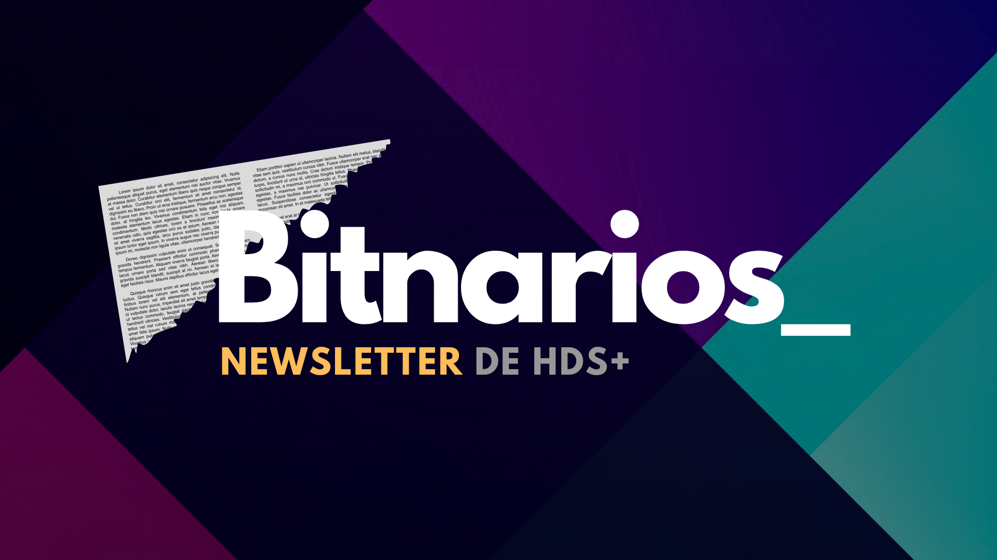 Bienvenidos a la nueva Newsletter de HDS+: Bitnarios_